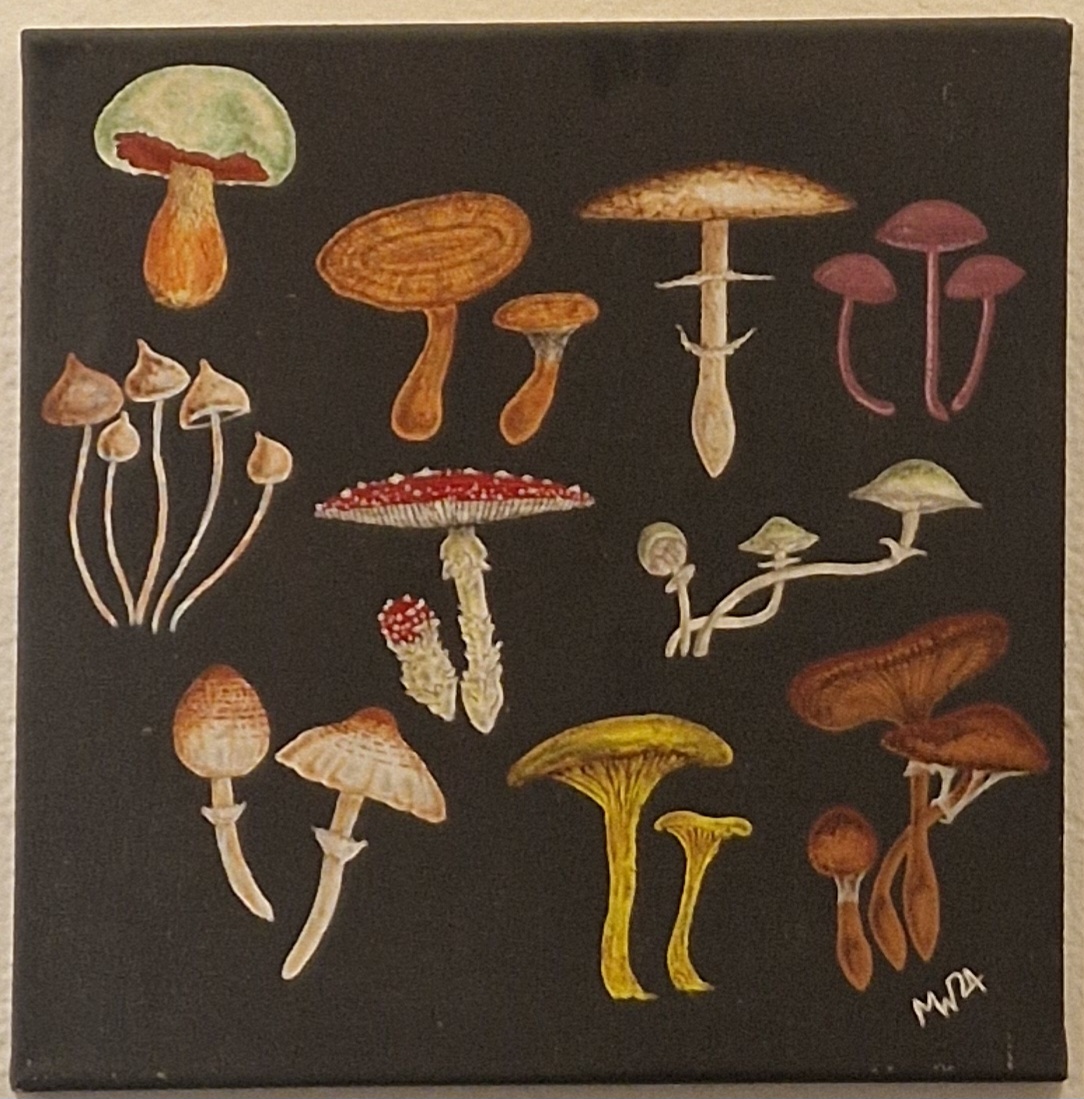 Fungi Study By Mark Whitesides