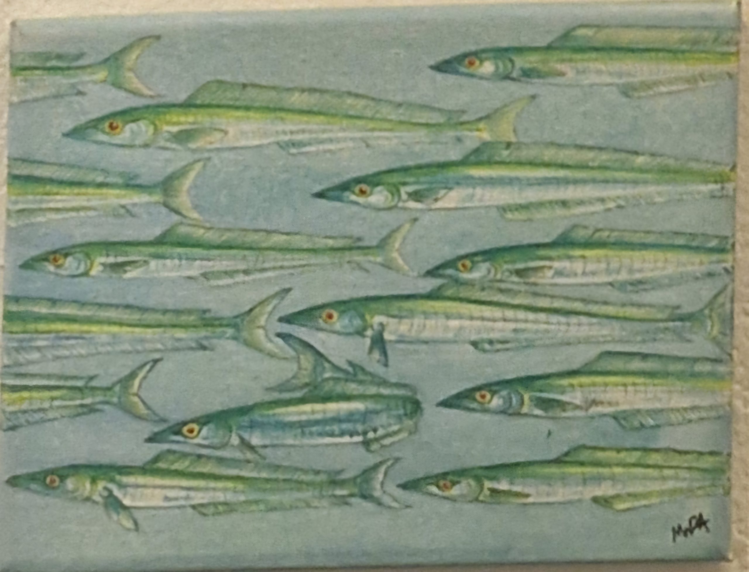 Sand eels, a Keystone species By Mark Whitesides